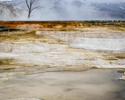 Mammoth Hot Springs