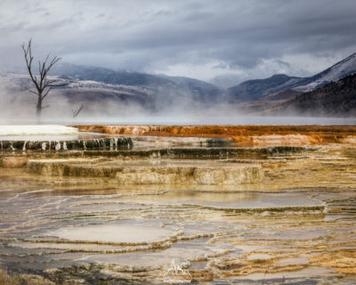 Petrified, Mammoth Hot Springs
