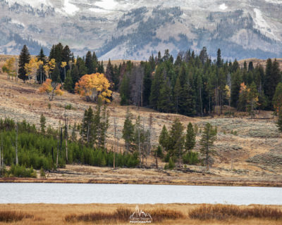 Leaving Yellowstone NP