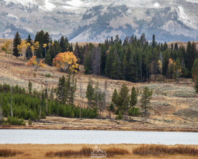 Leaving Yellowstone NP