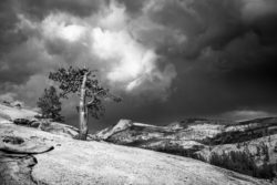 Black and white landscape photography capturing moody mountain scenery and natural beauty. A lone tree standing on a hilltop with dramatic storm clouds overhead.