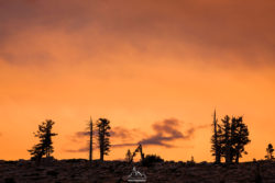 A stunning sunset scene showcasing a colorful sky with silhouetted trees on a mountain ridge, capturing natural beauty and tranquility. Sunset mountain landscape with vibrant orange sky and silhouetted trees.