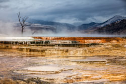 Capturing the surreal beauty of Yellowstone's geothermal hot springs with vibrant mineral deposits and steaming waters. An atmospheric shot of steaming mineral pools with colorful terraces and distant mountains under a c.