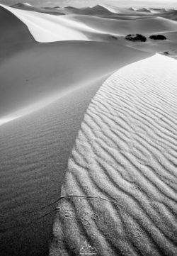 Black and white photograph of sand dunes with rippled textures and flowing shapes in a desert scene. Sand dunes with rippled textures and smooth curves in a monochrome desert landscape.