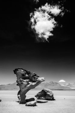 Striking desert landscape featuring a distinctive rock formation and dramatic sky in black and white. Desert rock formation with unique shapes in a black and white landscape.