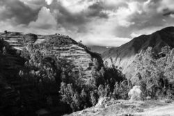 A stunning black and white photograph of mountain terrain with terraced agriculture, forests, and dramatic skies. Scenic mountain view featuring terraced fields, dense trees, and dramatic cloud formations.