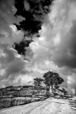 A striking black and white photograph capturing a rugged mountain landscape with a lone tree and dramatic cloud formations, emphasizing natural beauty. Stunning black and white landscape featuring rugged terrain and a solitary tree under a dynamic clou.